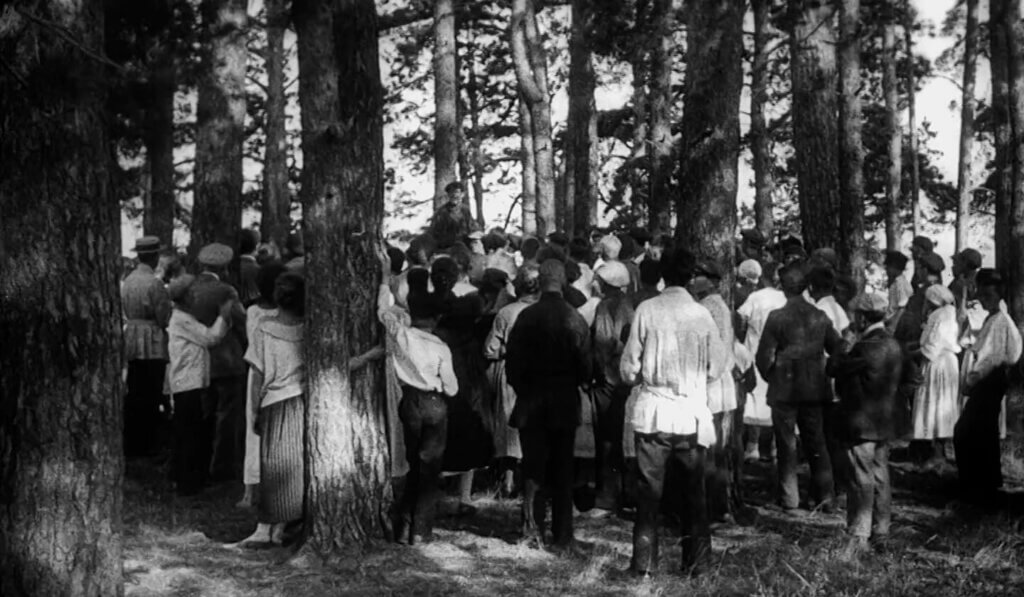 Strike workers in forest