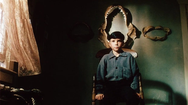 The Reflecting Skin (1990)