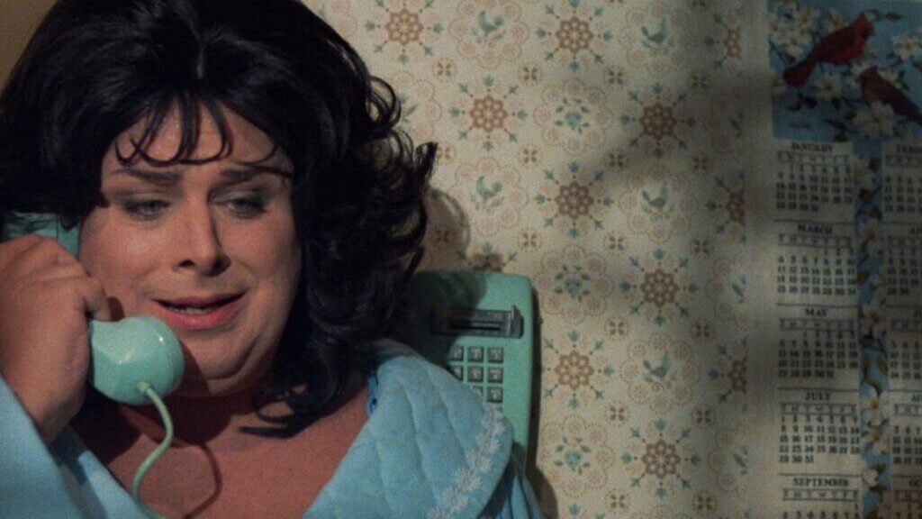 Polyester (1981)